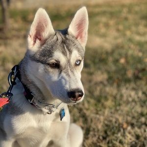 Meet your Posher, Christy